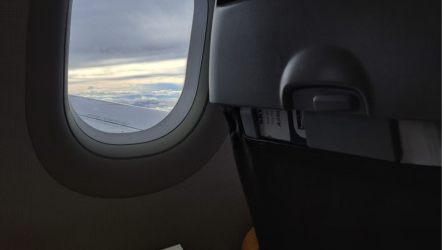 flight